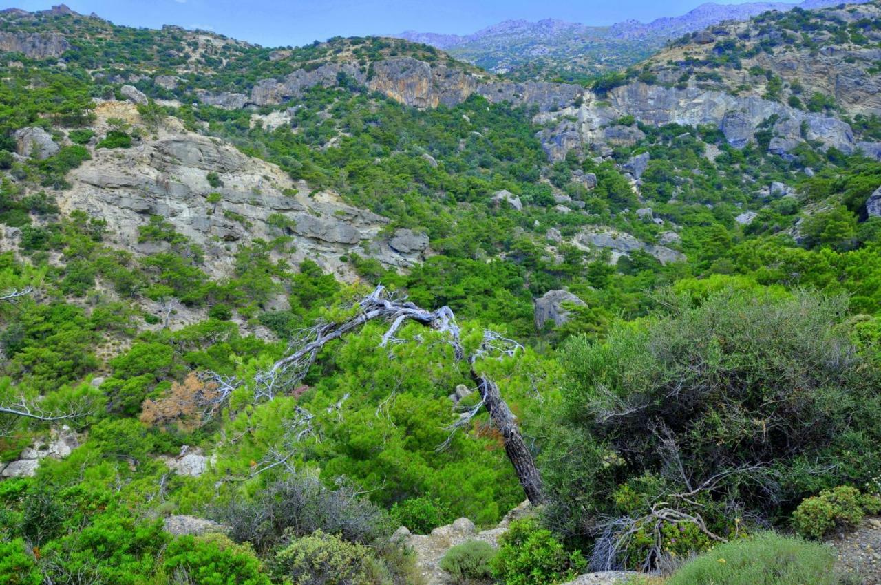 Dream Residence Agios Ioannis  المظهر الخارجي الصورة